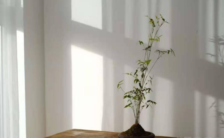 铜川SPA洗浴会所 揉·道spa