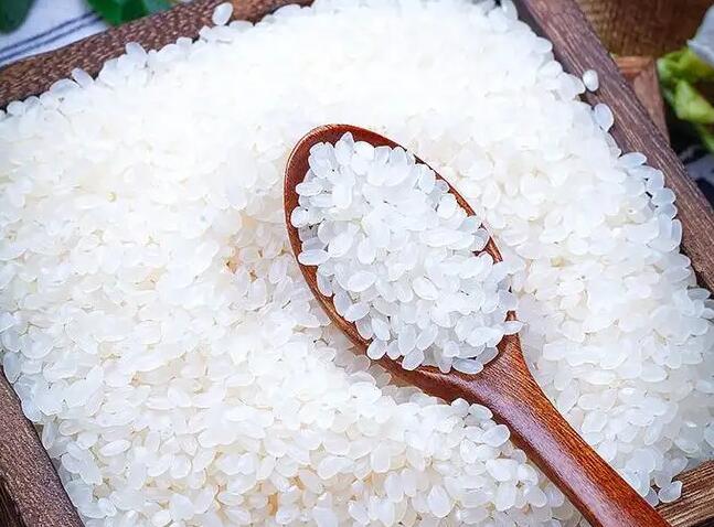 怎么选优质的大米